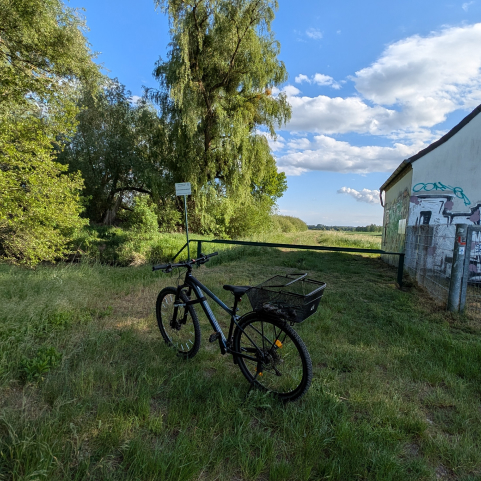 Futter für Kaninchen holen mit dem Fahrrad